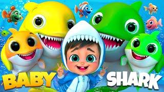 Baby Shark's Ocean Adventure Song - Nursery Rhymes & Kids Songs - #cocomelon #nurseryrhymes