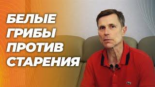 Эрготионеин-в белых грибах повышает спортивные результаты, улучшает функцию митохондрий.