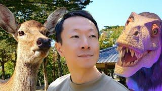 Japan-Vlog, Nara, Osaka, einfach Japanisch