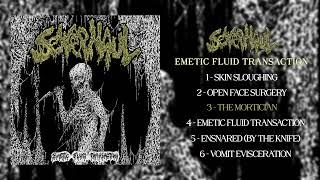 Sewer Haul - Emetic Fluid Transaction 7" FULL EP (2024 - Goregrind)