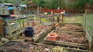 Get growing Great Lever four years on: Michelles Garden
