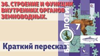 36. Строение и функции внутренних органов земноводных. Биология 7 класс.  Краткий пересказ.