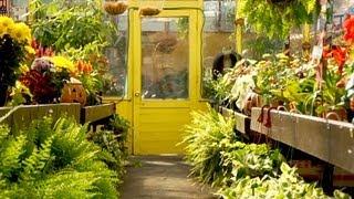 New Gardener's Guide to Shopping at a Garden Center