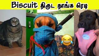 கண்ணுல ஒரு பயம்  | ராஜ பரம்பரை நாய்கள் | Hoomans