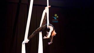 FPFC 2017 Aerial Silks Novice Division Champion - Olivia Scioscia