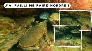 Ce spot est rempli de homards ! Chasse sous marine Bretagne sud