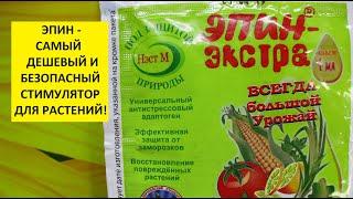 Эпин - регулятор роста для растений. Как использовать в огороде. Как приготовить рабочий раствор.