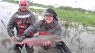 Deneki Alaska West Alaska trip! Kings, Giant Rainbows, Halibut, Bears, and so much fishing!!