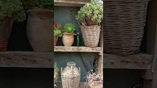 Буйство растений в стариннной, арзитектуре #друзья #любовь #растения