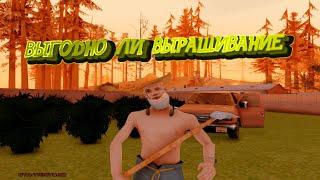 ВЫГОДНО ЛИ ВЫРАЩИВАНИЕ НА TRINITY RP | GTA SAMP