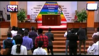 Little Flock Christian Assembly Onitsha Live Stream