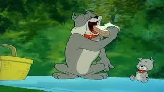 Tom and Jerry Episode 91 Pup on a Picnic Part 2