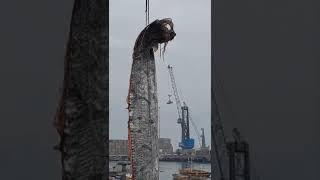 Spectacular Footage Shows Crane Reeling 16-Foot-Long Oarfish in Chilean Port