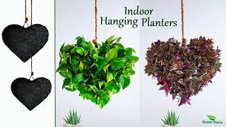 DIY Hanging Plants Indoors Ideas | Indoor Hanging Plants with Planters//GREEN PLANTS