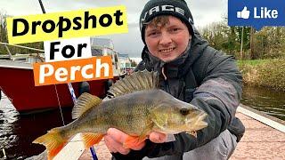 DROPSHOT for Perch - Amazing fishing technique made Easy