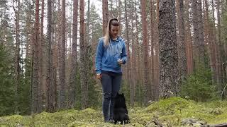 Balto Tricks In The Forest SCHIPPERKE