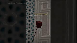 Ziyarat