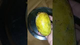 आम | Mango #eatingchallenge d7