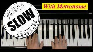 Cockles and Mussels - Alfred's Basic - Adult Course - Level One - Slow - BPM 46-66 - 5 Tempi