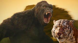 Kong vs. Shere Khan (Live Action)