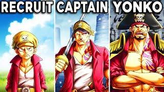 What Would Happen If Akainu Became A Pirate?