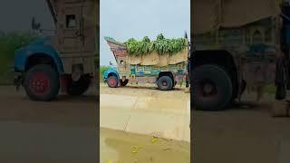 Banana Loading truck.#banana #viralvideo #shortvideo #youtubeshorts #villagelife #account Subscribe