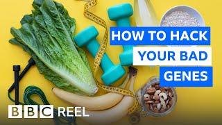 Three simple ways to deactivate your bad genes - BBC REEL