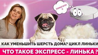 Как уменьшить шерсть дома? Цикл линьки. Что такое экспресс - линька?