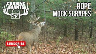 Chasing Giants TV - ROPE MOCK SCRAPE - BUCK INVENTORY with Don Higgins