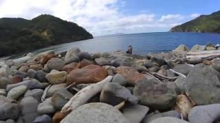 COROMANDEL STONEY BAY 2015