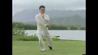 Master Alex Dong - Slow set taiji 1st part