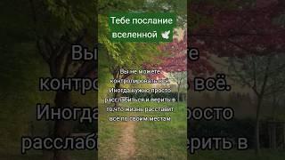 Принимай в комментариях с щедростью, БЛАГО ДАРЯ из любви к СЕБЕ  #жизнь