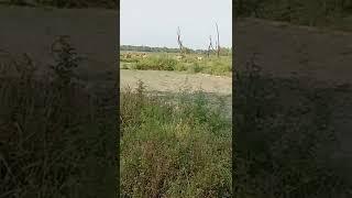 Avinash Yadav official ️️️