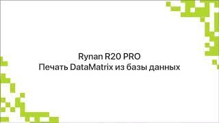 Печать динамических кодов DataMatrix Честный Знак принтером Rynan R20 PRO