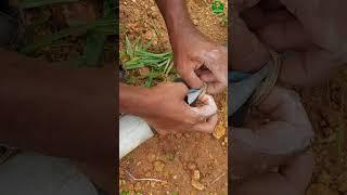 Super trick!pipe joint idea! #farming #pipe #tips #short