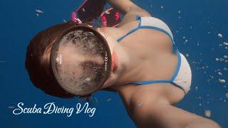 Scuba Diving Vlog  I Swimming Sea I Scubagirl, Freediving & Music [ep 30] 4K