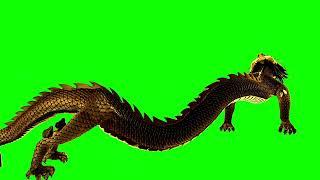 Golden Dragon Green Screen Flying - Animated Dragon Green Screen No Copyright Download