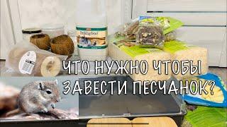 ЧТО НУЖНО ЧТОБЫ ЗАВЕСТИ ПЕСЧАНОК?