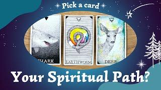 What's Your Spiritual Path?️⎜Pick a card⎜🃏Timeless reading