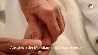 02 esb apm therapie nach radloff ausgleich der meridian energie und organ energie praxisahuber.ch