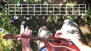 spirited away - one summer's day // ukulele tutorial