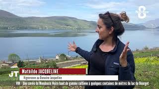 Une cuvée de Mondeuse Noire haut de gamme cultivée à quelques centaines de mètres du lac du Bourget