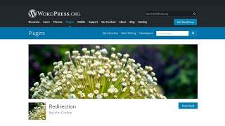How To Create a 301 Redirect in WordPress for Free?