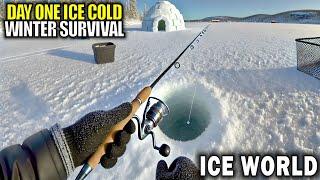 Day 1 a Different Kind of New Survival Game | Ice World Gameplay | Part 1