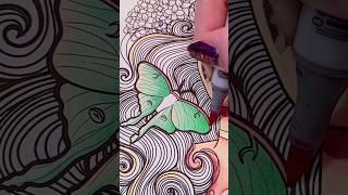 Luna Moth drawing #art #artist