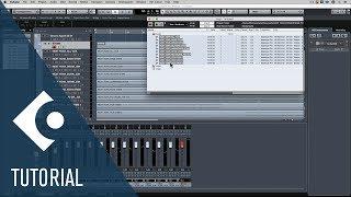 Change the Tempo for a Remix | Audio Editing and Warping