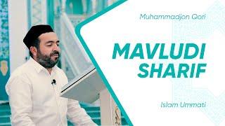 Mavludi Sharif Muhammadjon Qori, Мавлуд