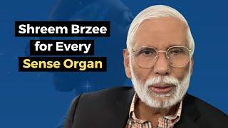 Shreem Brzee for Every Sense Organ