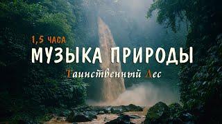 Славянская Музыка Природы для Гармонизации Пространства | 1,5 часа Красивой Музыки на гуслях