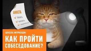 Как пройти собеседование в приюте?